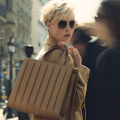 Whitney Bag Max Mara
